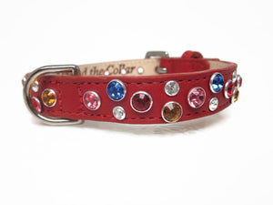 Stacy Rainbow Multi Cluster Jeweled Leather Dog Collar - Around The Collar NY