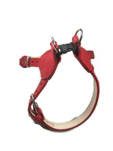 Cargar imagen en el visor de la galería, Classic Leather Step-In Harness - Around The Collar NY