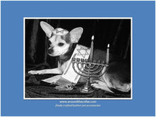 Load image into Gallery viewer, Shanti Leather Hanukkah Dog Collar w-Single Row Austrian Crystals Close Together Product vendor