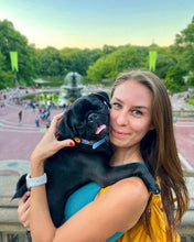 Load image into Gallery viewer, Brady Double Disc Leather Dog Collar with Crystals on Disc and Collar Product vendor