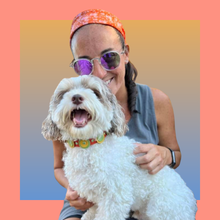 Load image into Gallery viewer, Brady Double Disc Leather Dog Collar with Crystals on Disc and Collar Product vendor