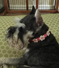 Load image into Gallery viewer, Riley Leather Flower Dog Collar Product vendor