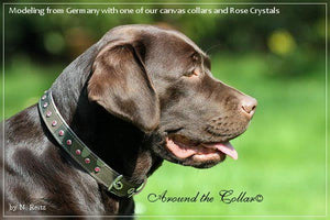 Brie Camouflage Dog Collar w/Leather and Single Row Swarovski Crystals - Around The Collar NY