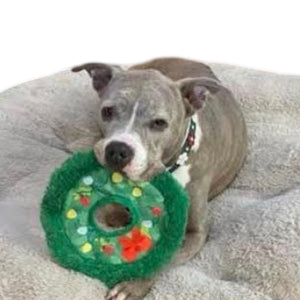 Ellie Christmas Flower Leather Dog Collar with Crystals on Flower & Strap Product vendor