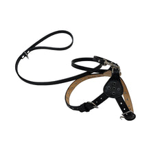 Cargar imagen en el visor de la galería, Brie Leather Step-In Dog Harness with Crystals on Straps and Tabs Product vendor