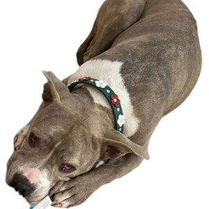 Ellie Christmas Flower Leather Dog Collar with Crystals on Flower & Strap Product vendor