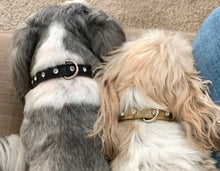 Cargar imagen en el visor de la galería, Brie Metallic Leather Single Row Crystal Dog Collar Product vendor
