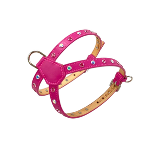 Brie Leather Dog K Harness