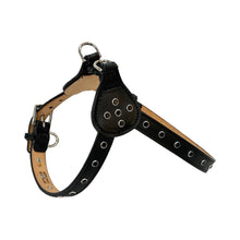 Cargar imagen en el visor de la galería, Brie Leather Step-In Dog Harness with Crystals on Straps and Tabs Product vendor