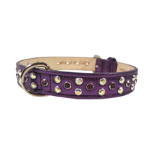 Load image into Gallery viewer, Callie Dog Collar Aurora Borealis &amp; Amethyst Crystal Cluster