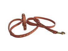 Load image into Gallery viewer, Blingy Brie Pink Metallic Dog Collar &amp; Leash