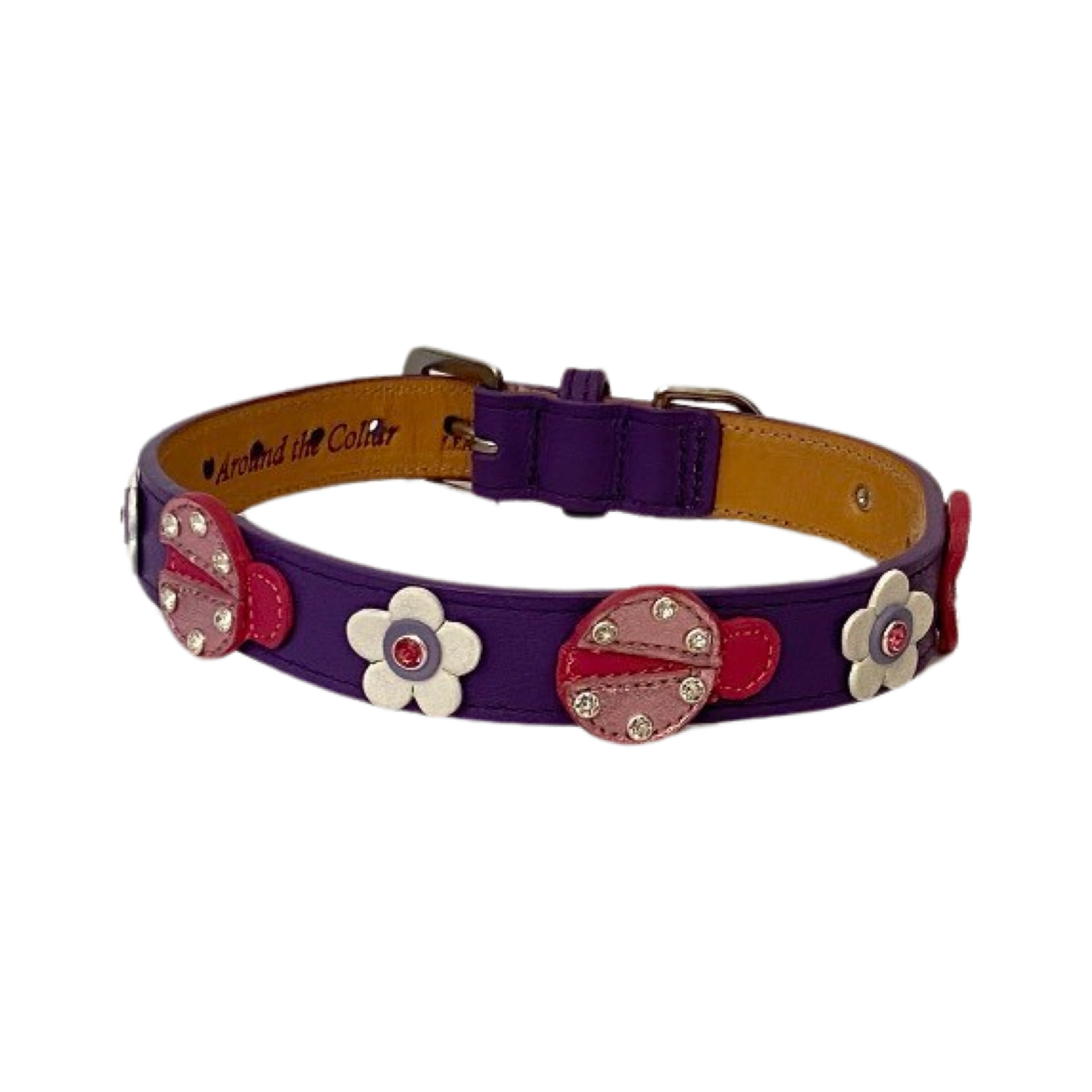 Creative 2024 dog collars