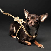 Cargar imagen en el visor de la galería, Dog Collar Models Product vendor