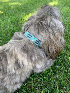 Huck Leather Dog Collar with Double Row Inserts & Double Row Austrian Crystals Product vendor