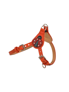 Ladybug Step-in Leather Dog Harness Product vendor