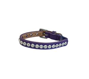 Purple Cat Shanti Collar. All leather w-Crystals
