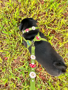 Luna Dog Collar with Mushrooms & Flowers Product vendor