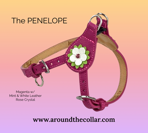 The Penelope lower leather dog step in harness
