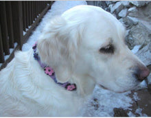Load image into Gallery viewer, Dog Collar Models Product vendor