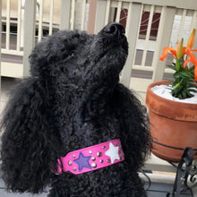 Load image into Gallery viewer, Breck Wider Leather Dog Collar with Star and Nickel Stud Cluster - Around The Collar NY