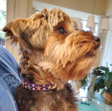 Load image into Gallery viewer, Stars and crystal leather Lincoln Dog Collar