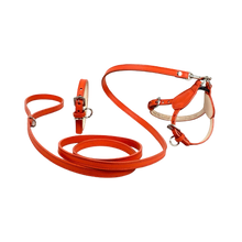Load image into Gallery viewer, Classic Leather Step-In Dog Harness Product vendor
