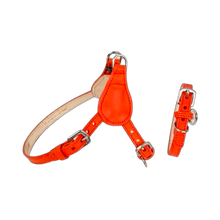 Load image into Gallery viewer, Classic Leather Step-In Dog Harness Product vendor