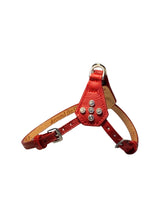Load image into Gallery viewer, Brie stepin dog harness