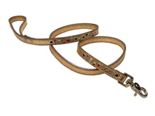 Cargar imagen en el visor de la galería, Stacy Rainbow Multi Cluster Jeweled  Leather Dog Leash Product vendor