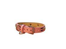 Load image into Gallery viewer, Huck Leather Dog Collar with 2 Row Insert &amp; Skull Head