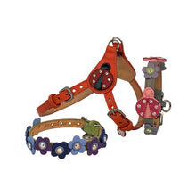 Load image into Gallery viewer, Ladybug Step-in Leather Dog Harness