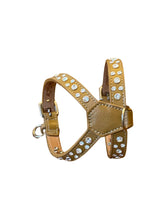 Load image into Gallery viewer, Stella Camel Leather Dog K Harness with Crystals