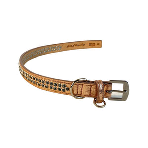 Kathy Double Row Dog Collar with Crystals Close Together with taper at ends