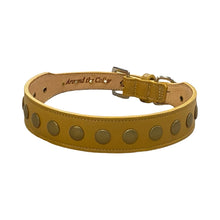 Load image into Gallery viewer, Kobe Wider Leather Dog Collar with Antique Brass Studs Product vendor