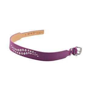 Carmel Double Row Swirl Crystals Wide Dog Collar