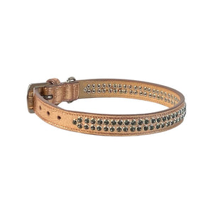 Kathy Double Row Dog Collar with Crystals Close Together with taper at ends