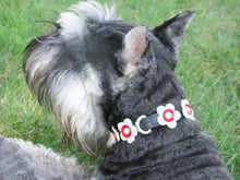 Load image into Gallery viewer, Riley leather flower dog collar by Around the Collar. Custom made in New York