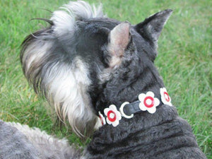 Riley leather flower dog collar by Around the Collar. Custom made in New York