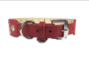 Jaxon Wider Leather Dog Collar w-Eyelet & Stud Nickel Cluster