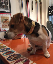 Load image into Gallery viewer, Stella Jewel Cluster Christmas Dog Collar Product vendor