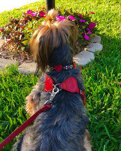 Load image into Gallery viewer, Leather Hearts Dog Collar with Crystal Cluster