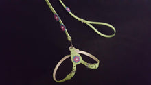 Load image into Gallery viewer, Penelope Flower Leather  Dog Step-In Harness with Austrian Crystal on Flower Product vendor