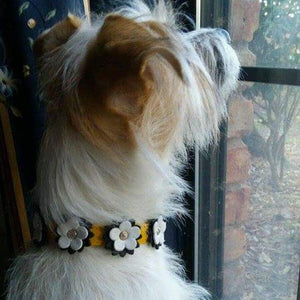 Penelope Flower Leather Dog Collar with Crystal on Flower