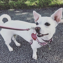 Load image into Gallery viewer, Heart Leather Step-In Dog Harness Product vendor