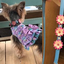 Load image into Gallery viewer, Penelope Flower Leather Dog Collar with Crystals on Flower &amp; Collar Product vendor