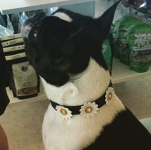 Load image into Gallery viewer, Maci Leather Flower Collar with Swarovski Crystal on Flower - Around The Collar NY