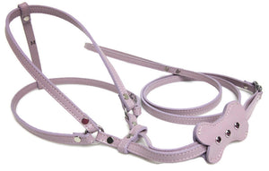 Bone All-In-One Harness with Bone Slider and 3 Swarovski Crystals - Around The Collar NY