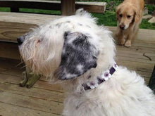 Load image into Gallery viewer, Riley Leather Flower Collar - Around The Collar NY