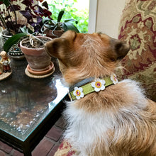 Load image into Gallery viewer, Riley Leather Flower Collar - Around The Collar NY