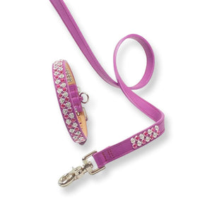 Ava checkerboard AVA dog collar and leash